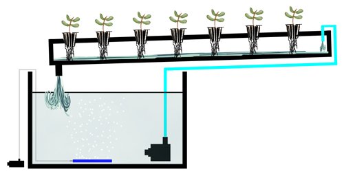 Где продавать nft картины