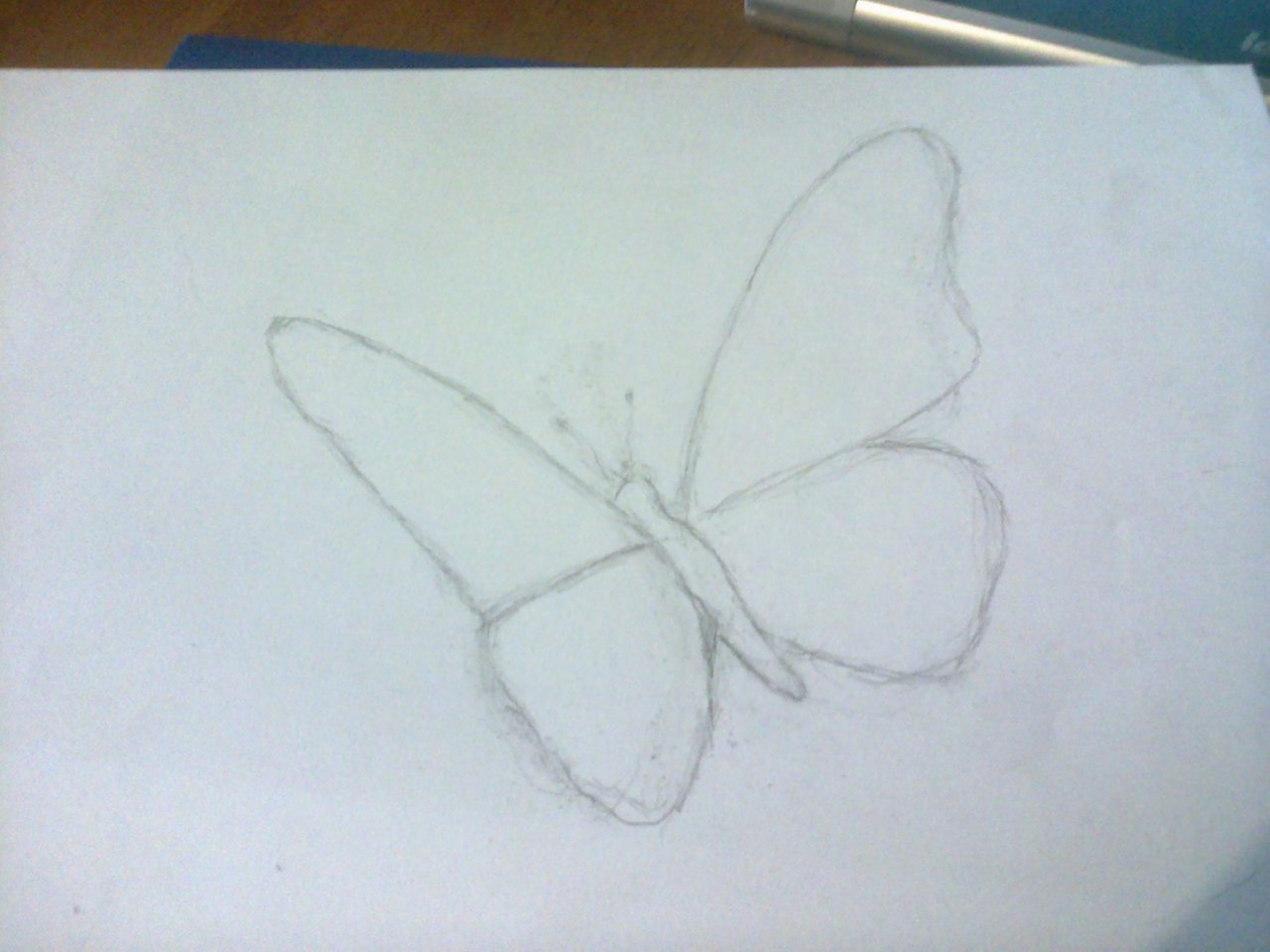 3d рисунки бабочка карандашом