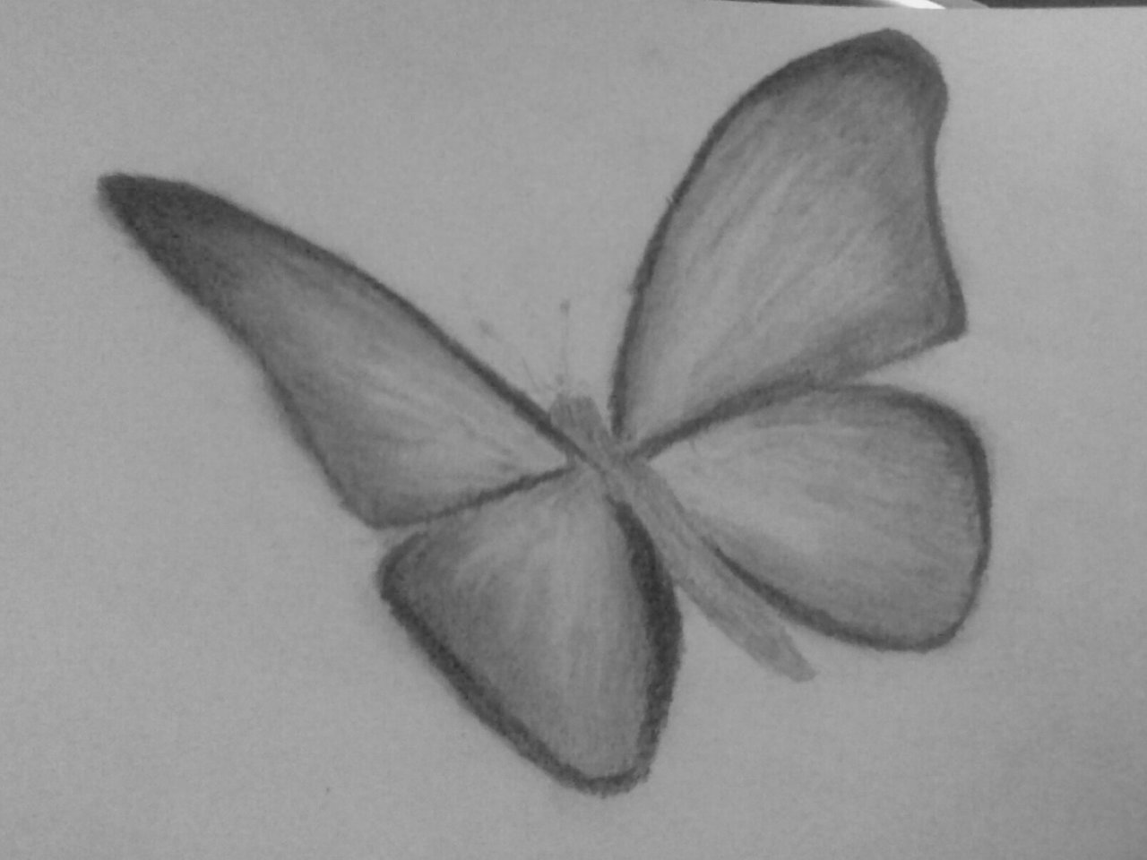 Маленькие бабочки для срисовки карандашом
