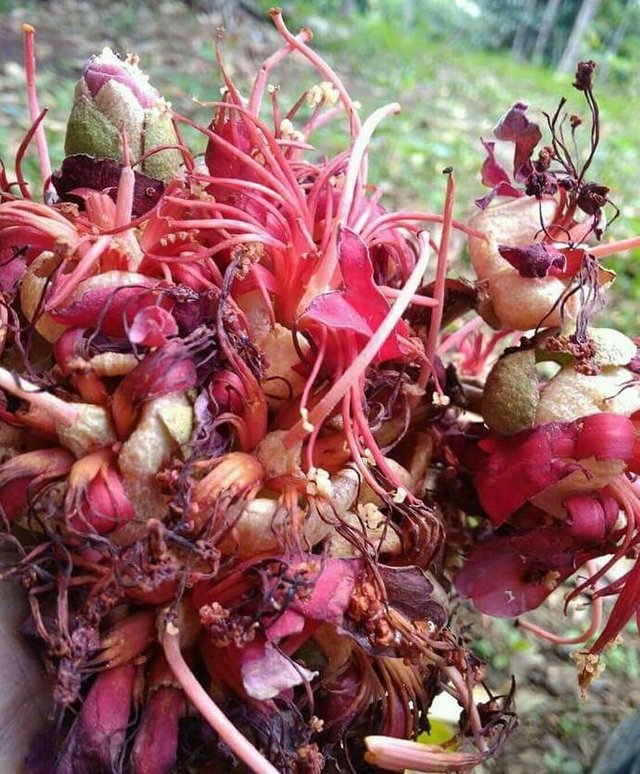 o1AJ9qDyyJNSpZWhUgGYc3MngFqoAMwhGU2UkYNL