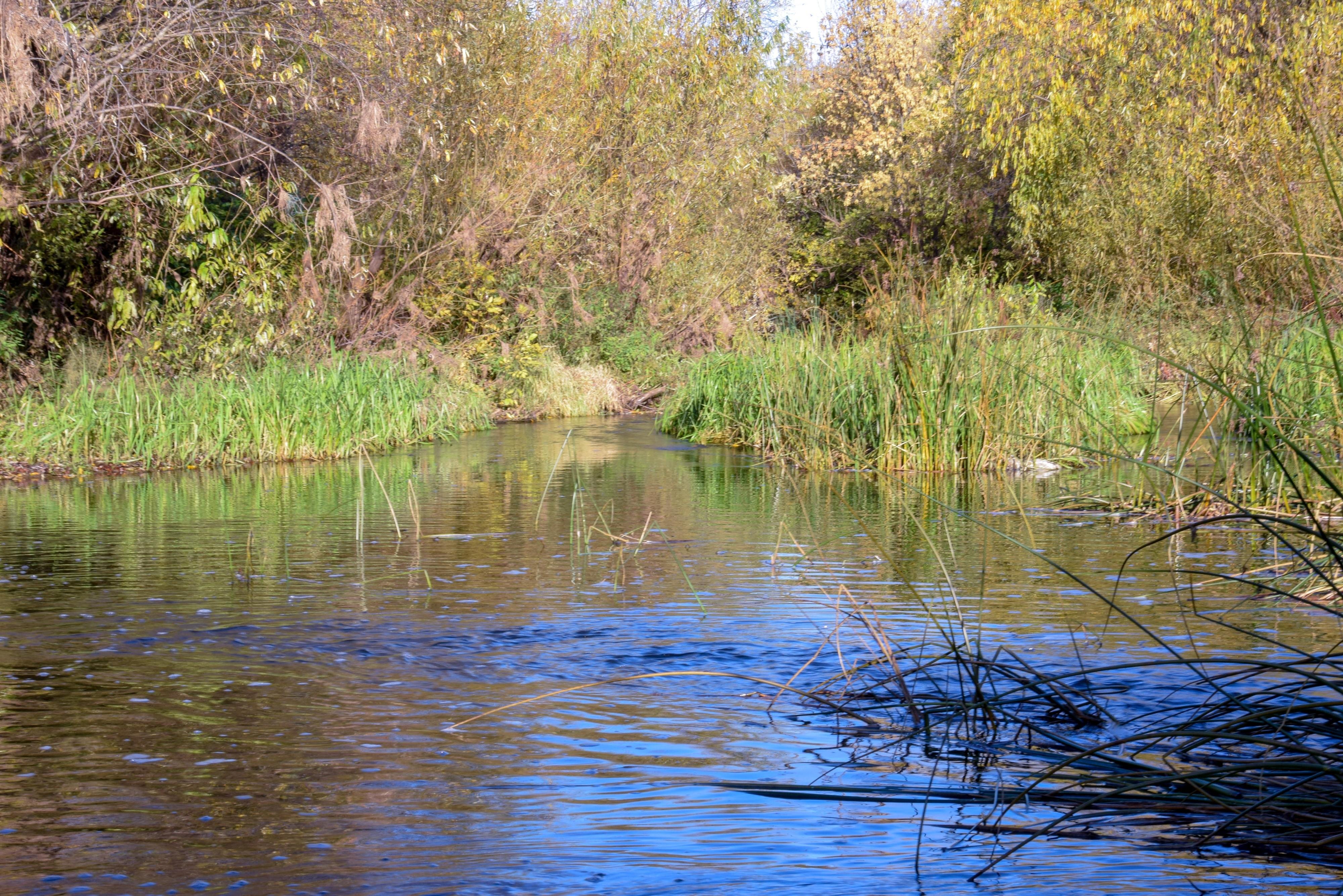 река лужа в малоярославце. река донинка. на речке. река цивиль. малые реки средние реки.