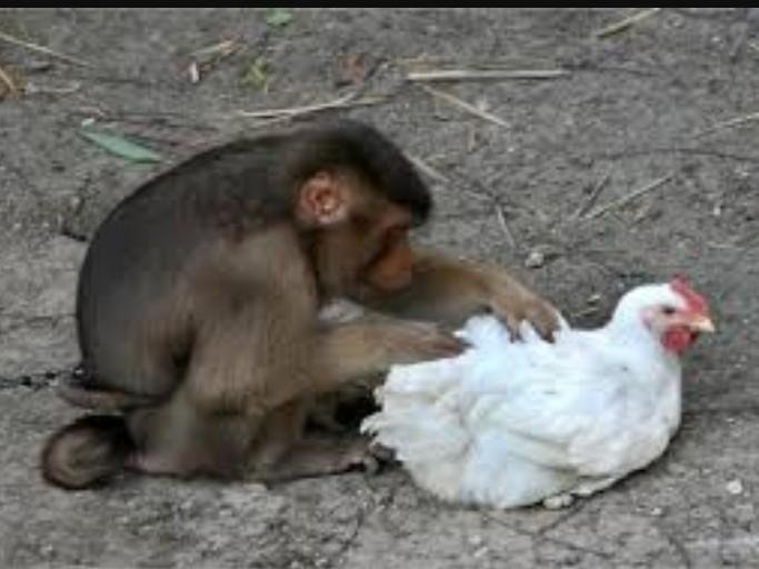 o1AJ9qDyyJNSpZWhUgGYc3MngFqoAN1fTwUKhVMxCYXiG4HEn