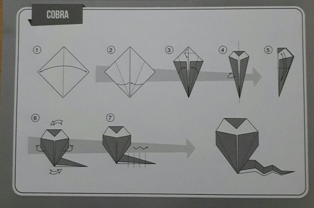 3d оригами из бумаги змея схемы photography Search highlight origami ular cooperate pain Human