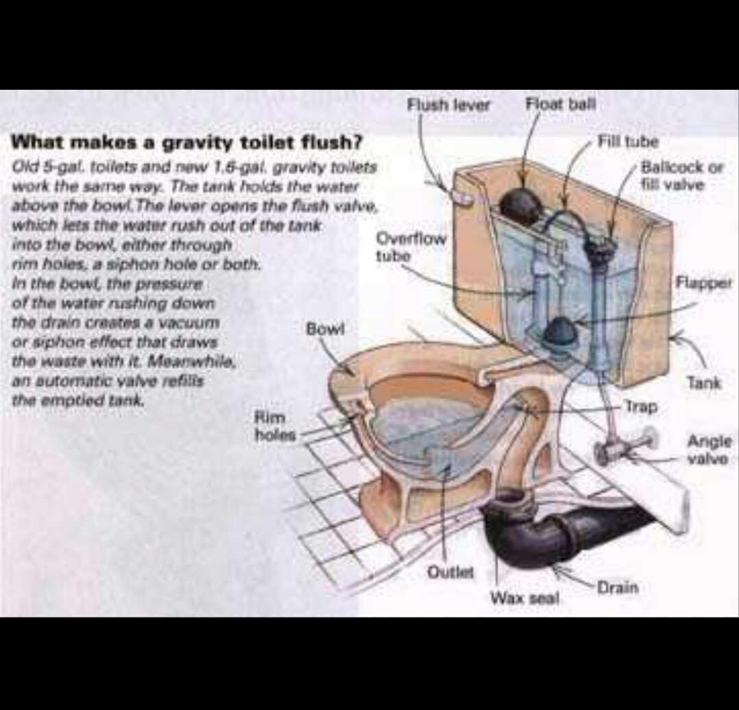 Flushing Documents Down The Toilet