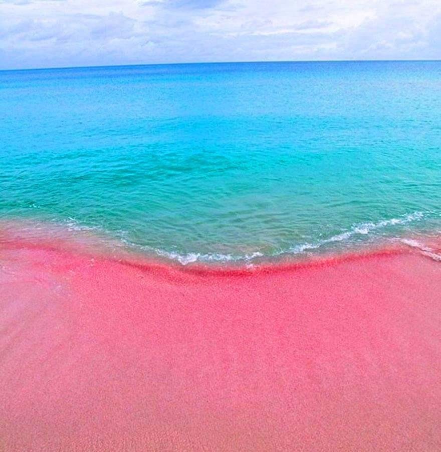 Море с розовым песком