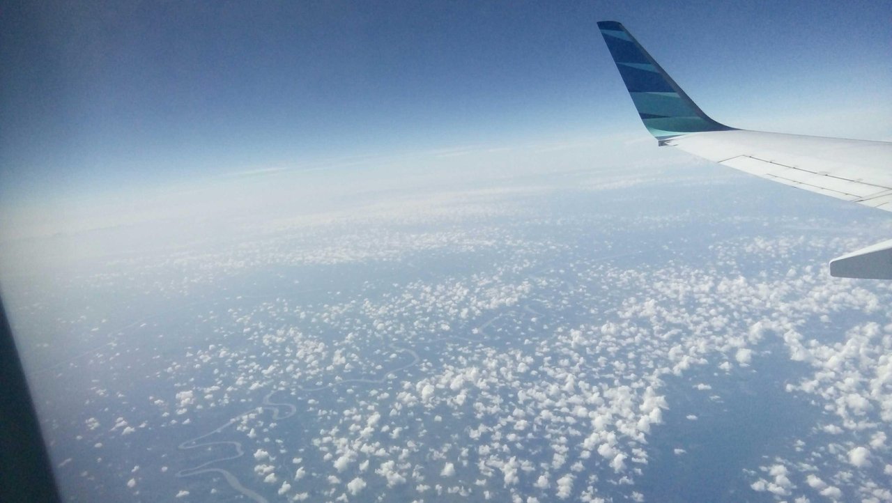 Safe flight картинки. Save flight. Save flight. Ticket sale air. Safe flight картинки.