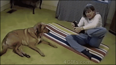 DQmX1Dy4Ejq5dp9opUgCEVc3K6ZPeKww9Uagqtfj13wTRxb.gif