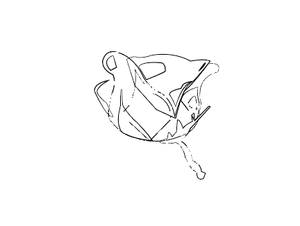Screen Shot 2018-05-01 at 12.38.32 PM.png