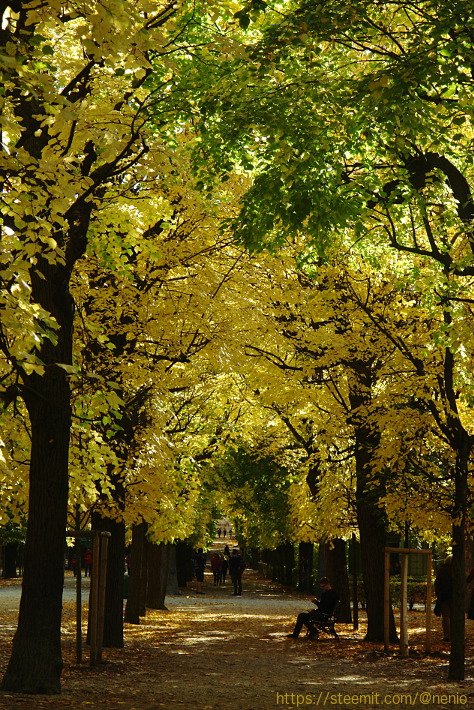 fall08.jpg