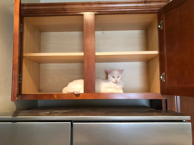 hiding.jpg