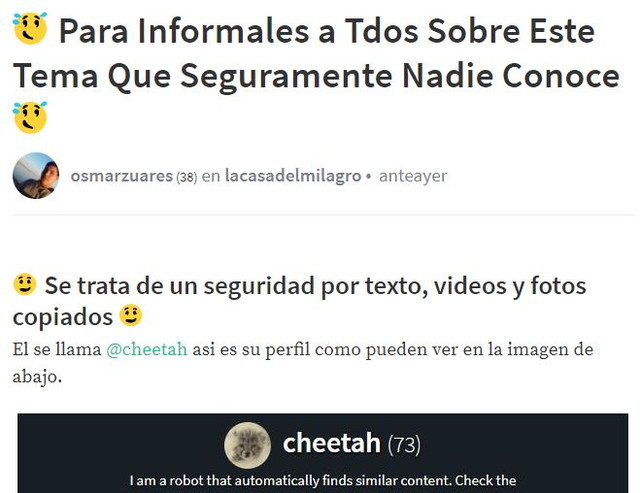 cheeta.JPG
