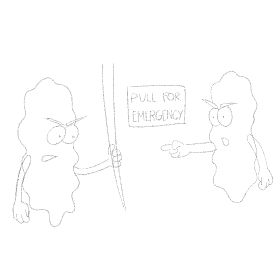 sketch.png
