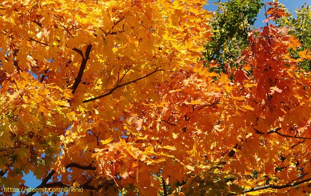 fall05.jpg