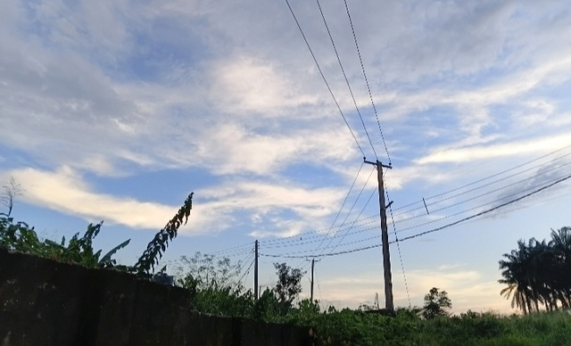 392639.jpg
