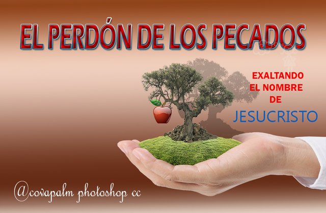 perdon.jpg