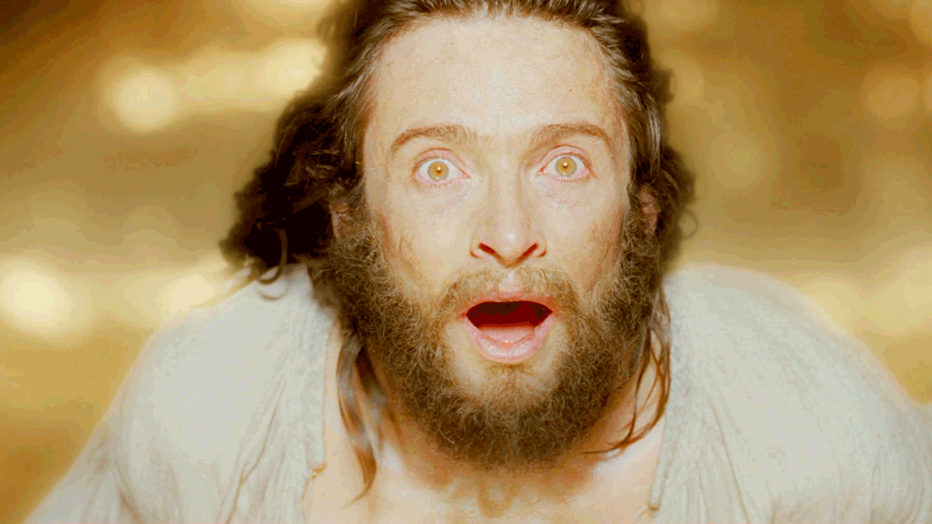 gipghy.gif