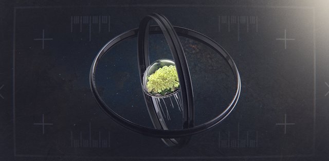 Seed_3.jpg