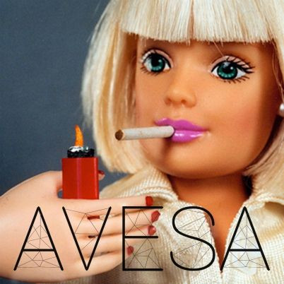 avesa4.jpg