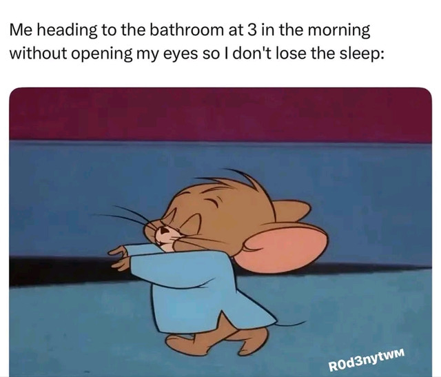 349313.jpg