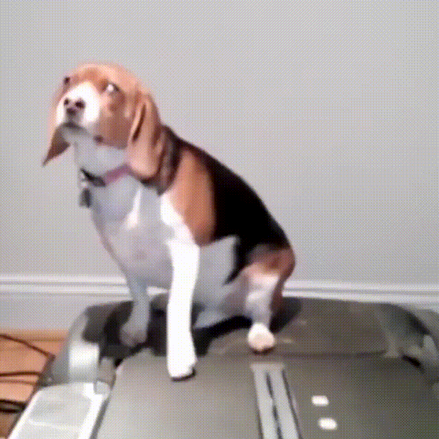 source.gif