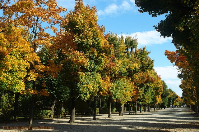 fall13.jpg