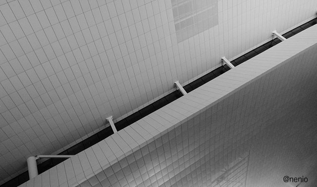 roof01.jpg