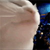 icon_2.gif