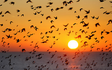 sunset.jpg