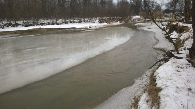 oltet1.jpg