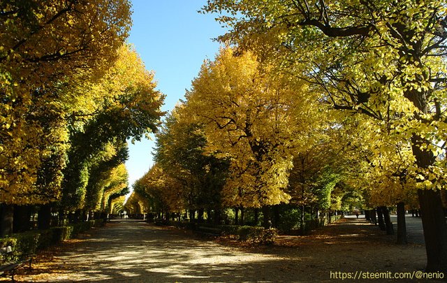 fall06.jpg