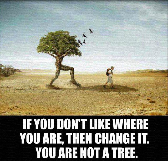 Are you coming to the tree. You are not a Tree. If you don't like where you are move you are not a Tree. Where would you like to Live. I like when you move.