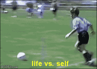 656EDE98-58FF-42EC-B850-7622DC6C7E47-4759-00000749EE923A9B.gif