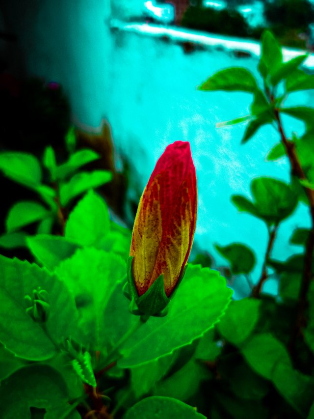 IMG20210826141544.jpg