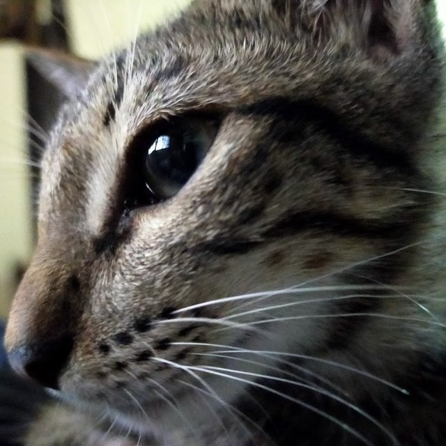 IMG20200210162203.jpg
