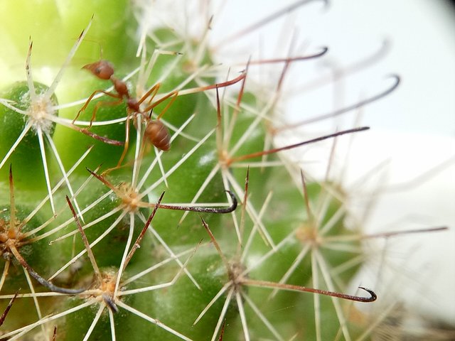 IMG20200909152230.jpg