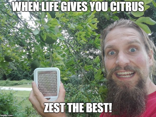 zest the best.jpg
