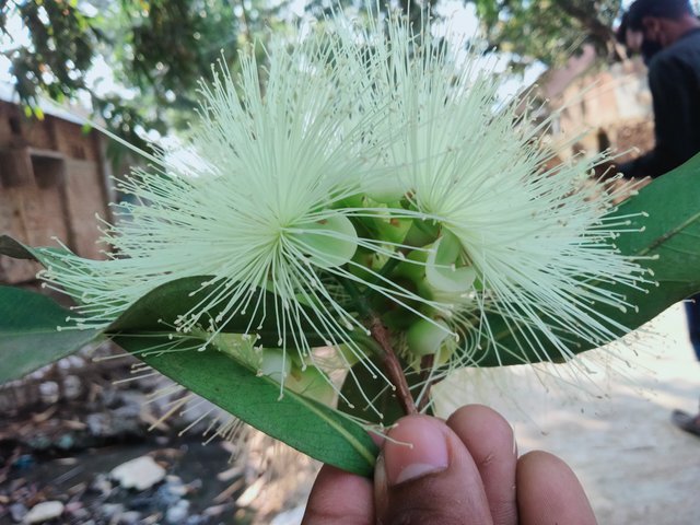 IMG20220228150418.jpg