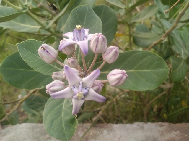 IMG20240604175940.jpg