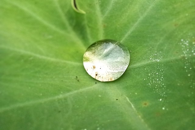 20250410_073547~2.jpg