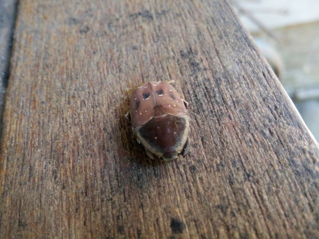 IMG20180908102650.jpg