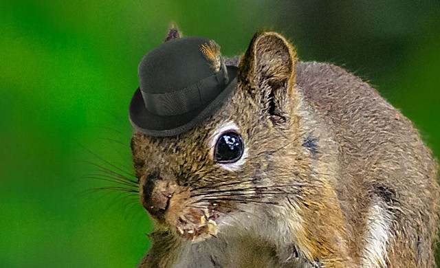 I called him Clancy but then I realised he was Russell Underwood, patron saint of quiet achievers