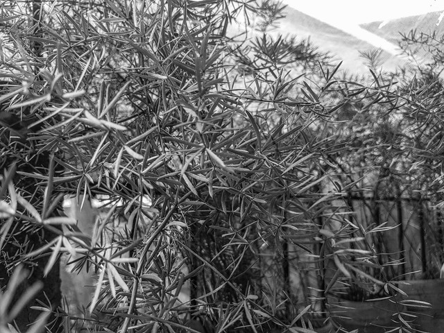 20180215_084203-1.jpg