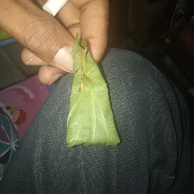 IMG20181027195328.jpg