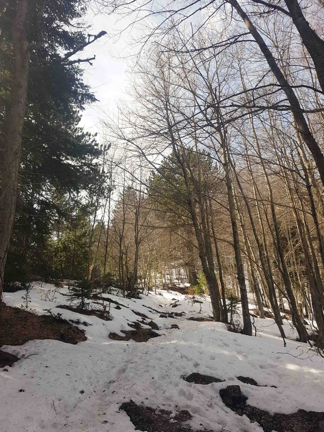 20190309_105744-2.jpg
