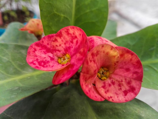 M_20180529_181251.jpg