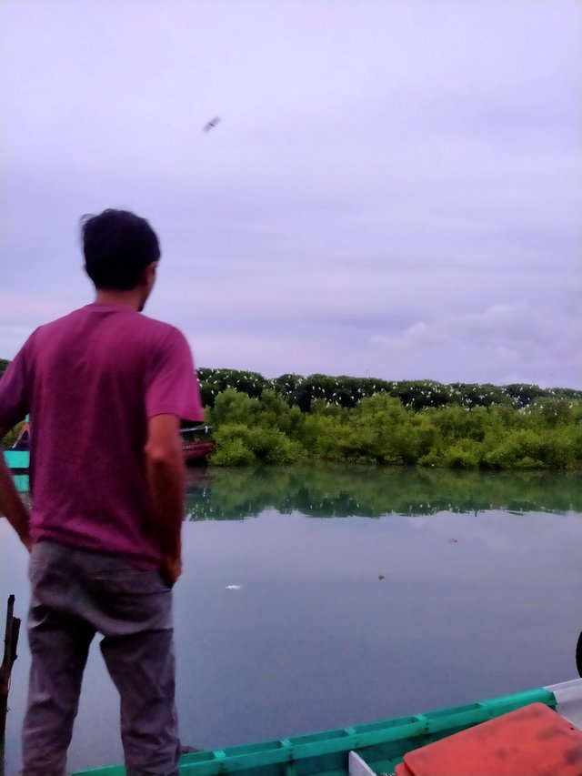 IMG20201226184006.jpg