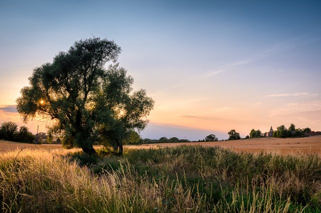 DSC_0924-HDR-Edit.jpg