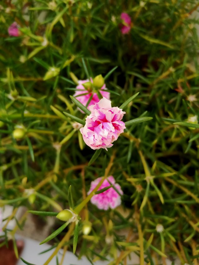 IMG20210825114121.jpg