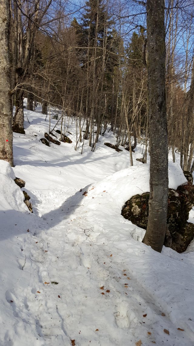 20190309_110815-2.jpg