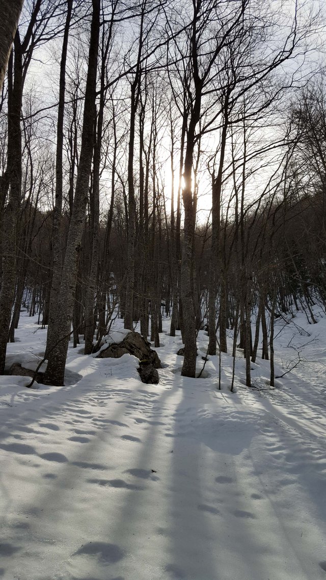 20190309_113250-2.jpg
